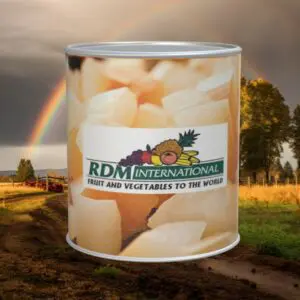 Canned Chopped Onions