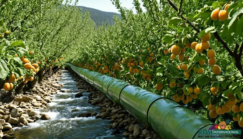 apricot puree supply chain