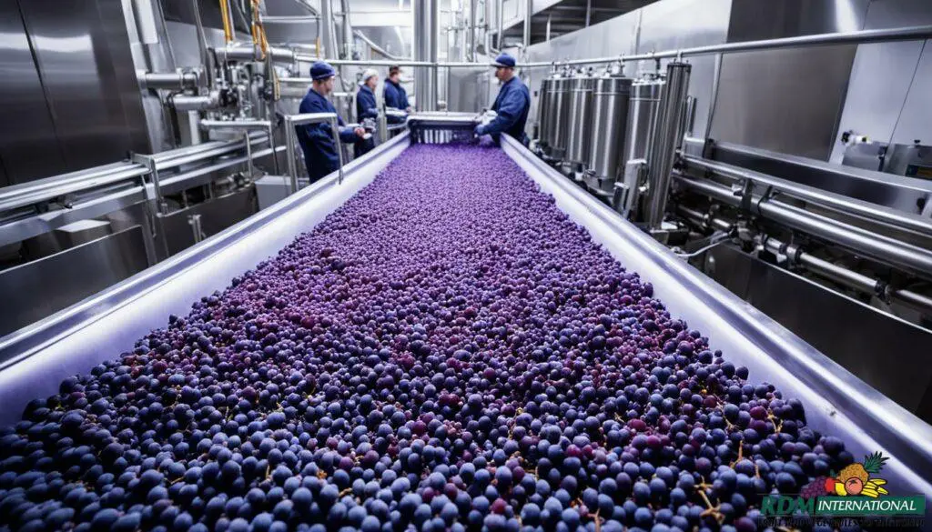 concord grape processing concord grape processing