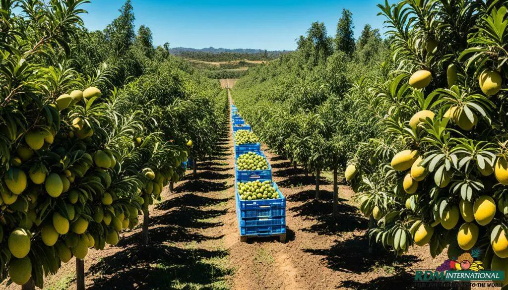 premier iqf mango supplier premier iqf mango supplier