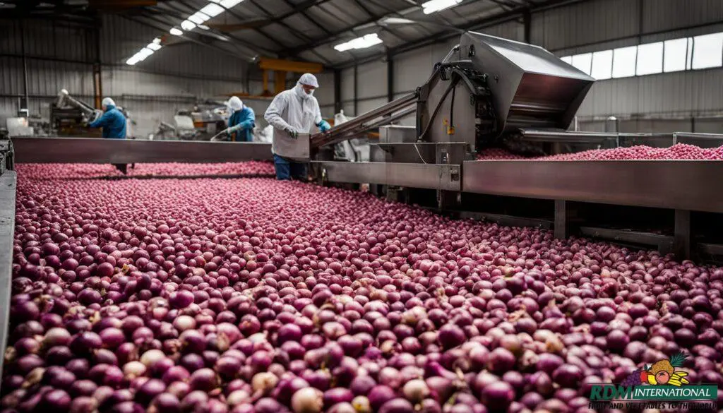 Onion puree wholesale