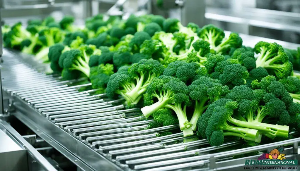 canning process canning process
