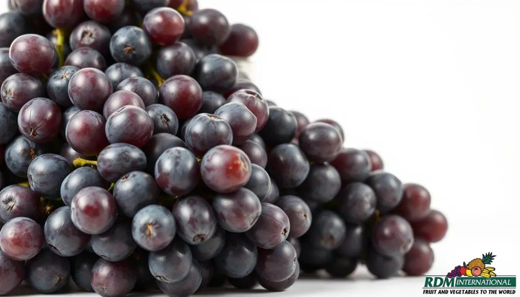 top bulk grape juice concentrate top bulk grape juice concentrate