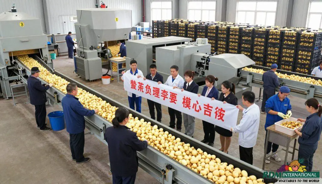 bulk potato processing
