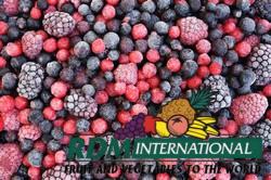 Bulk IQF Fruit, Canned Fruit, Fruit Concentrates, Dried Fruit