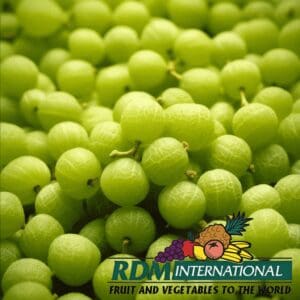 IQF Gooseberries