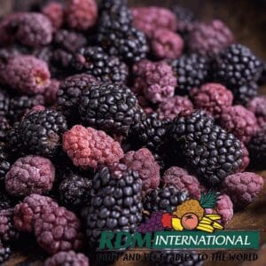 Dried Blackberries