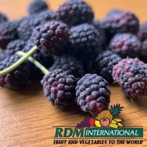 Dried Marionberries
