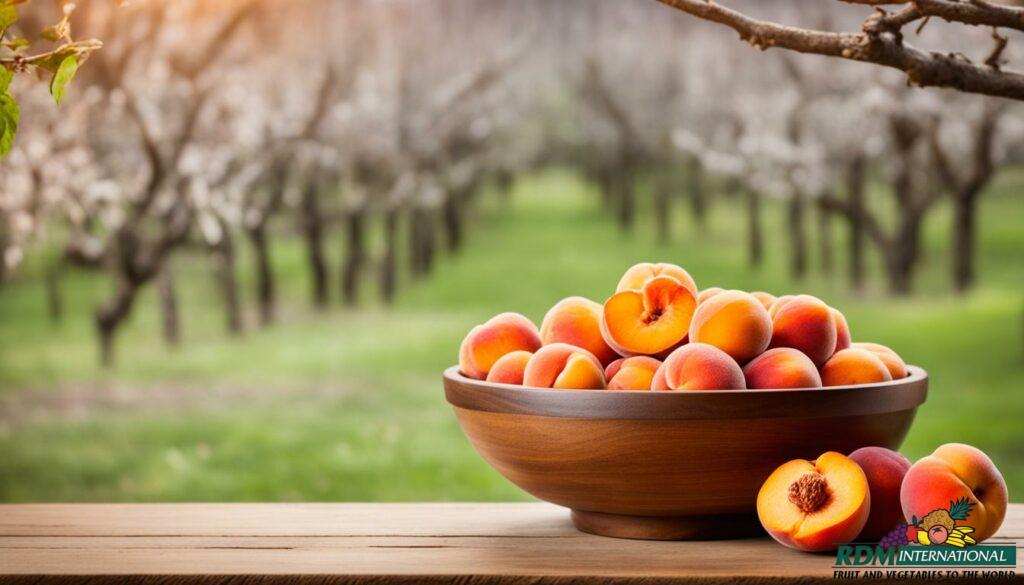 best dried peaches supplier