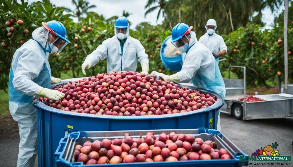 bulk aseptic guava puree supplier