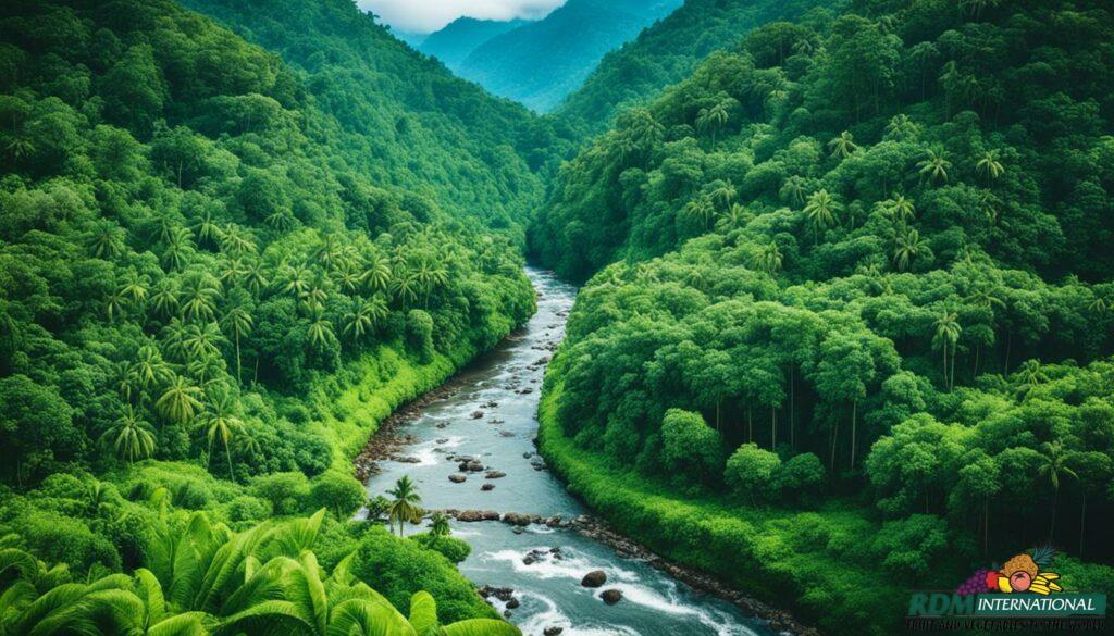 ethical acai puree sourcing