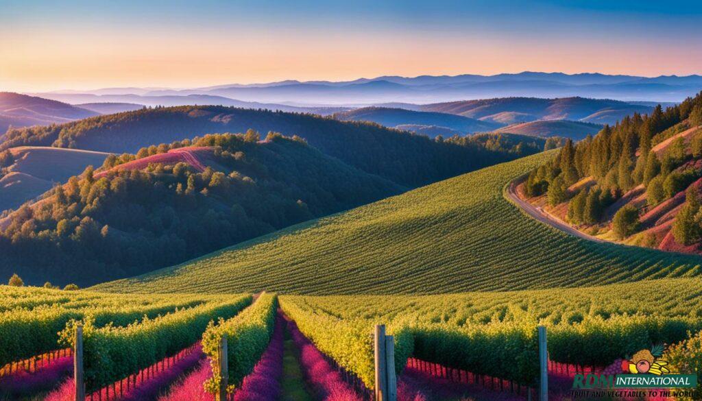 global boysenberry growers