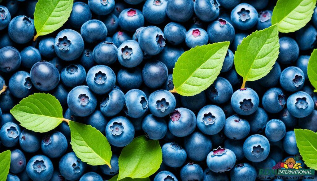 organic blueberry powder