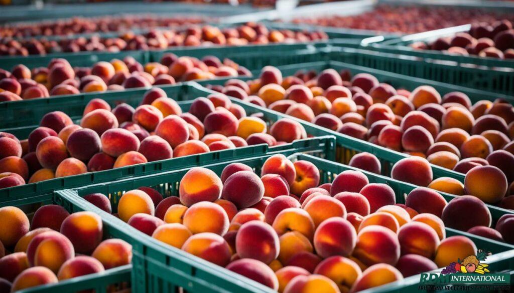 peach juice concentrate supplier