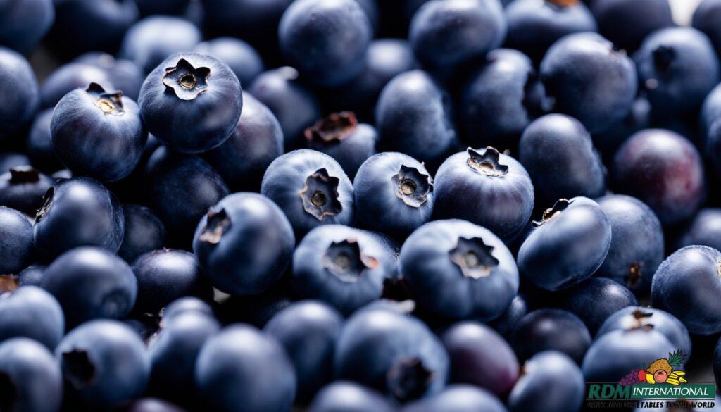 premium dried blueberries