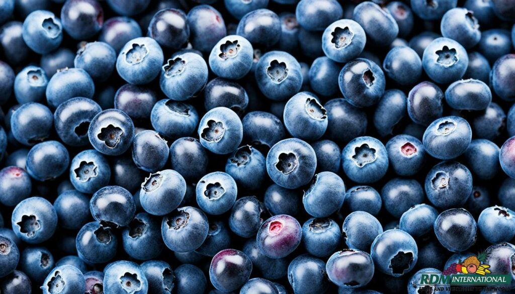 premium iqf blueberries