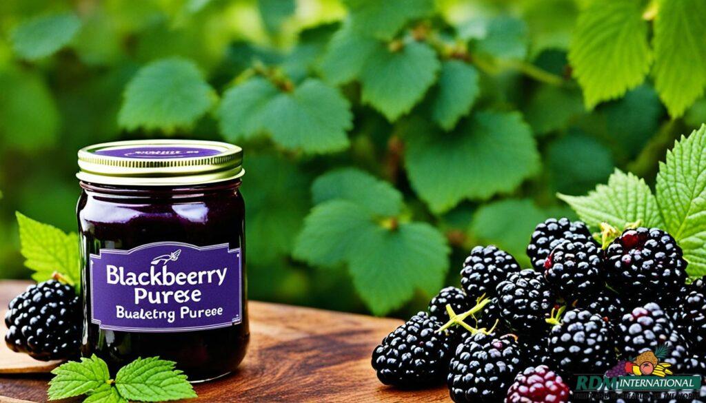 quality blackberry puree supplier