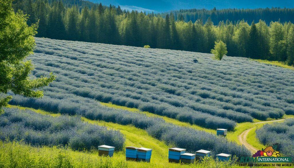 sustainable farming practices