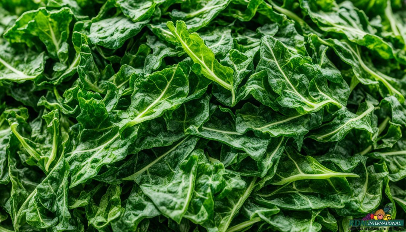 Quality Dehydrated Green Chard Supplier