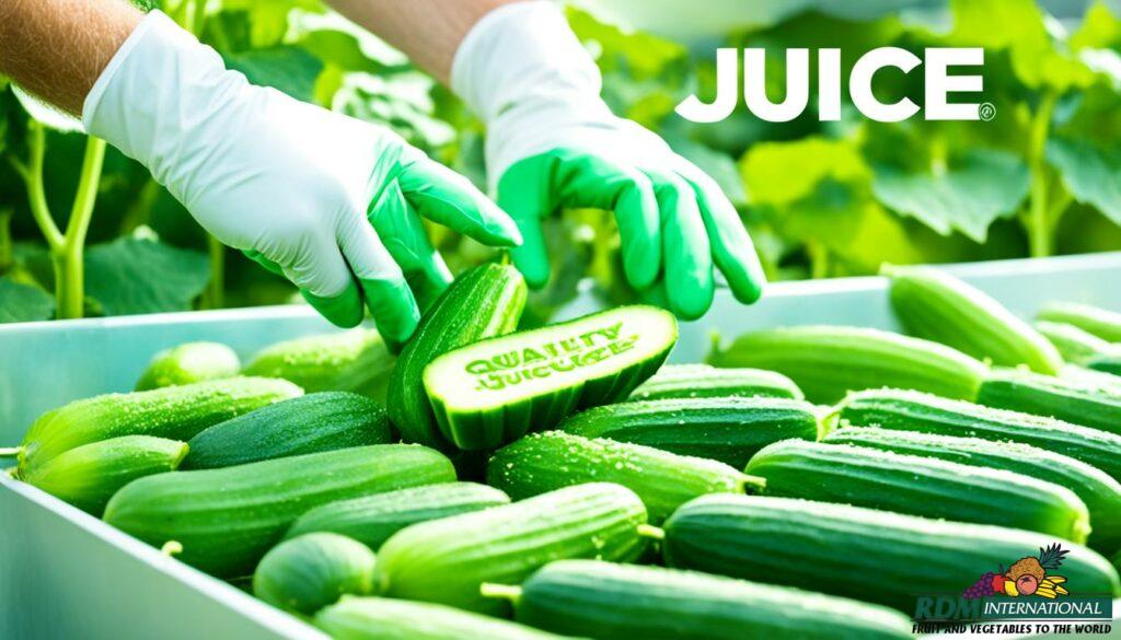 quality cucumber juice concentrate supplier