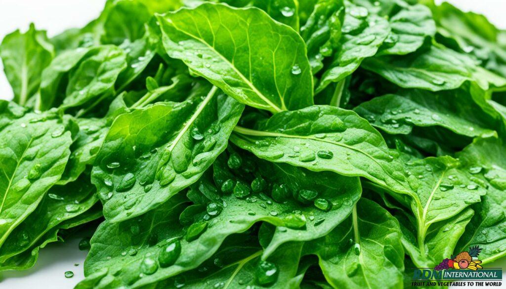 quality dehydrated green chard supplier