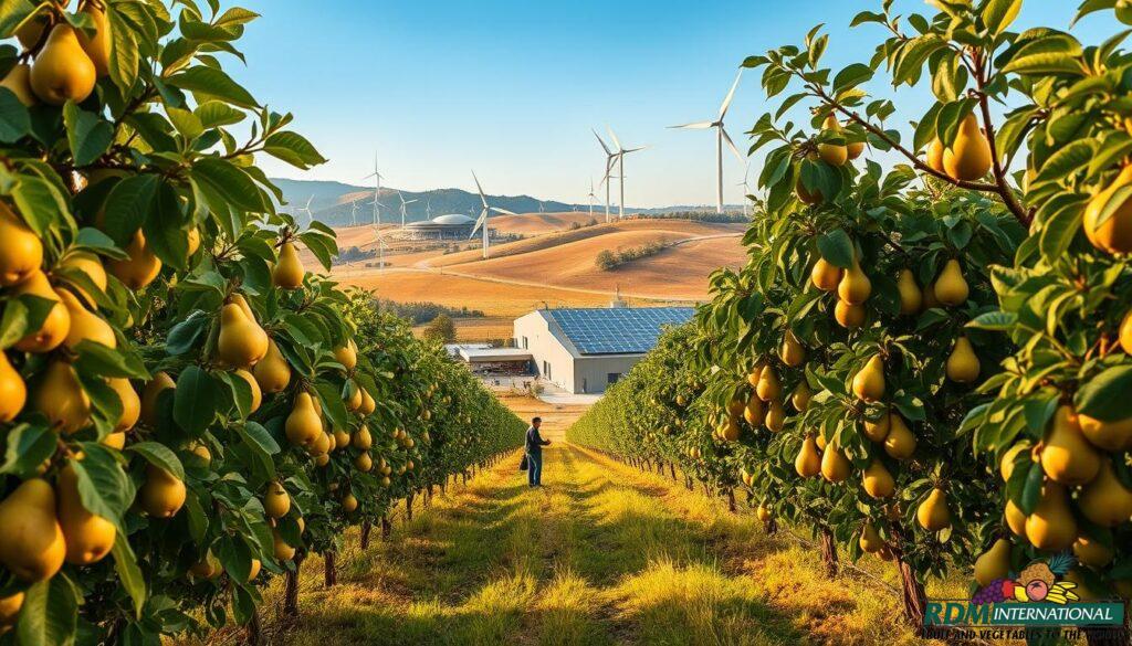 sustainable practices in pear juice market