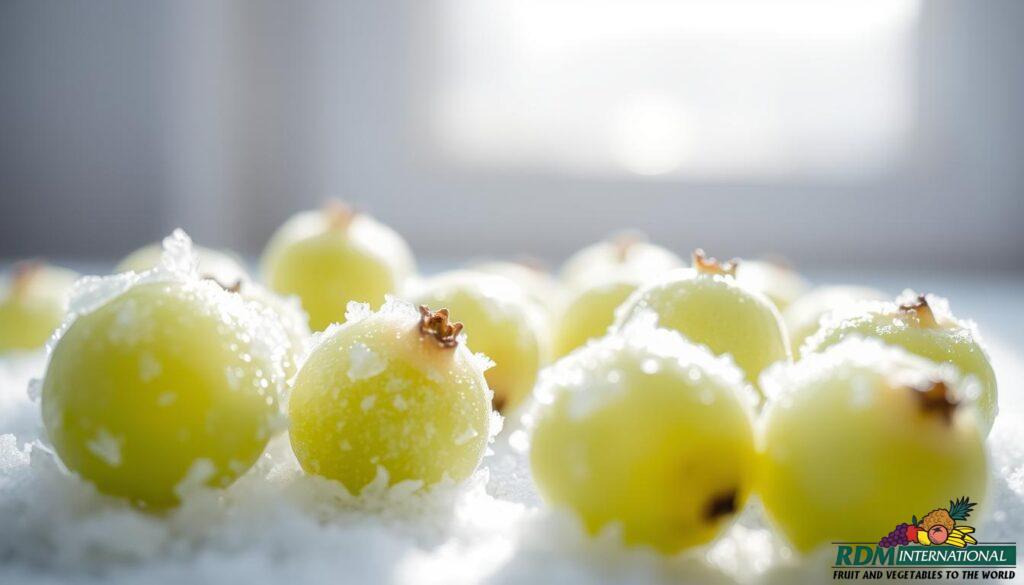 frozen gooseberries
