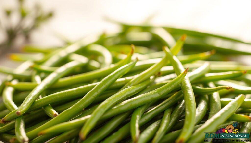 top quality IQF Green Beans