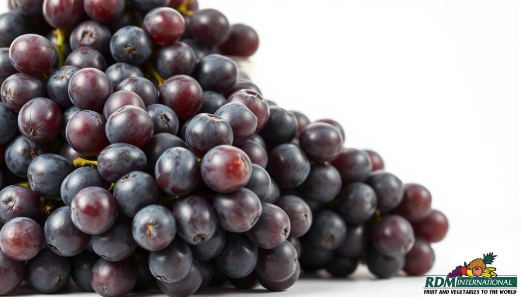 top bulk grape juice concentrate